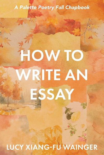 How to Write an Essay