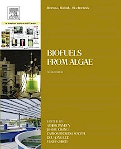 Biomass, Biofuels, Biochemicals