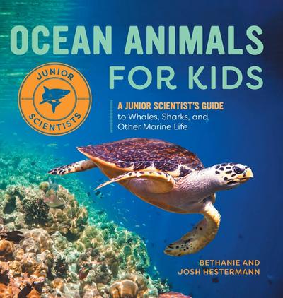 Ocean Animals for Kids