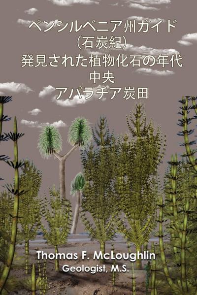 &#12506;&#12531;&#12471;&#12523;&#12505;&#12491;&#12450;&#24030;&#12460;&#12452;&#12489;&#65288;&#30707;&#28845;&#32000;&#65289;&#30330;&#35211;&#12373;&#12428;&#12383;&#26893;&#29289;&#21270;&#30707;&#12398;&#24180;&#20195; &#20013;&#22830; &#12450;&#1249