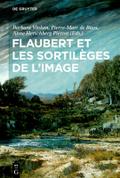 Flaubert et les sortilèges de l’image