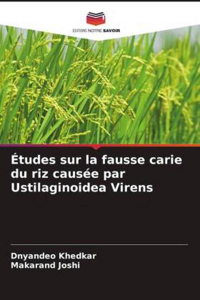 Études sur la fausse carie du riz causée par Ustilaginoidea Virens