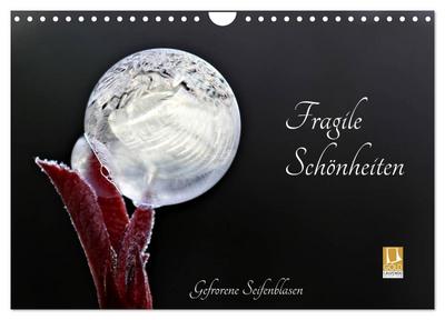 Fragile Schönheiten - Gefrorene Seifenblasen (Wandkalender 2025 DIN A4 quer), CALVENDO Monatskalender