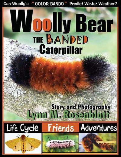 Woolly Bear the Banded Caterpillar: Life Cycle, Friends and Adventures