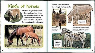 Its Fun to Learn Abt Baby Anim