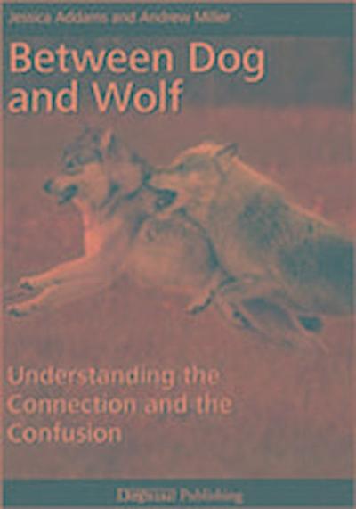 Between Dog and Wolf: Understanding the Connection and the Confusion