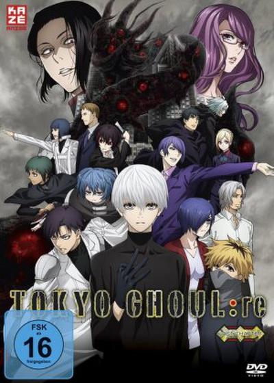 Tokyo Ghoul:re - Staffel 3  BOX #2 (DVD) 4Disc  Gesamtausgabe - Box 2, Vol. 3.5-3.8