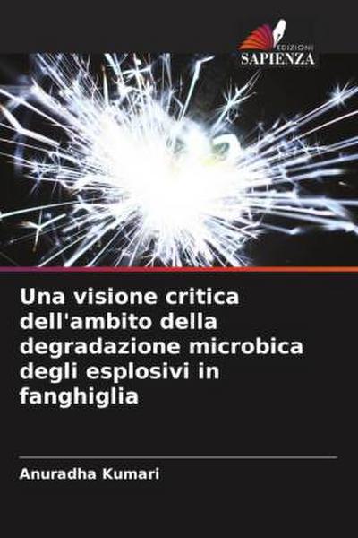 Una visione critica dell’ambito della degradazione microbica degli esplosivi in fanghiglia
