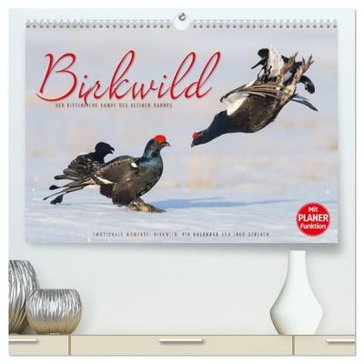Emotionale Momente: Birkwild (hochwertiger Premium Wandkalender 2024 DIN A2 quer), Kunstdruck in Hochglanz