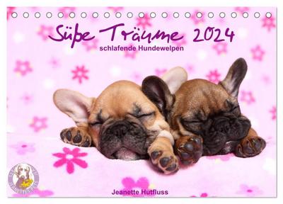 Süße Träume 2024 - schlafende Hundewelpen (Tischkalender 2024 DIN A5 quer), CALVENDO Monatskalender