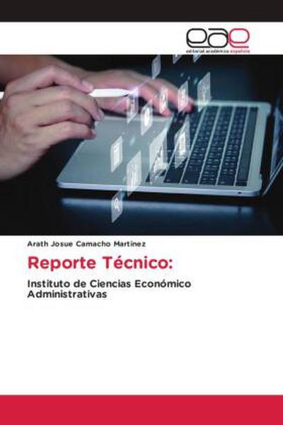 Reporte Técnico: