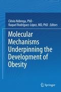 Molecular Mechanisms Underpinning the Development 