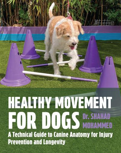 Healthy Movement for Dogs