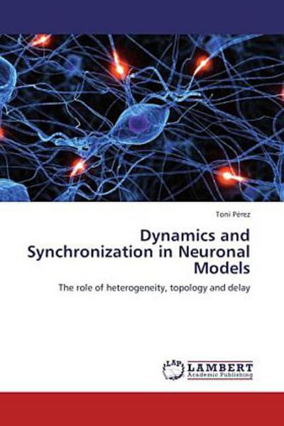 Dynamics and Synchronization in Neuronal Models