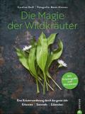 Die Magie der Wildkräuter