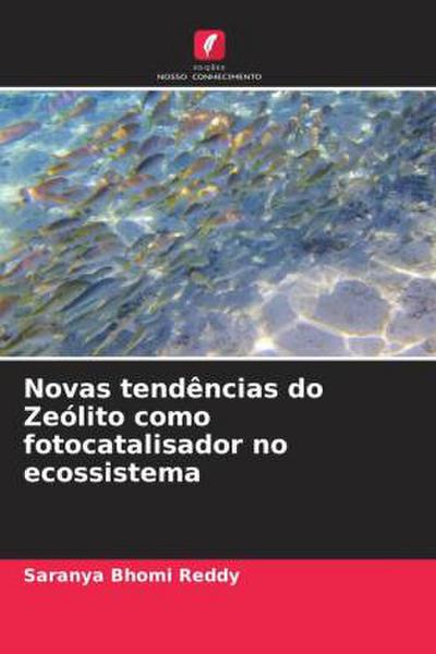Novas tendências do Zeólito como fotocatalisador no ecossistema