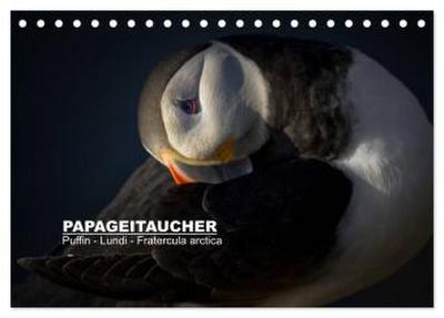 Papageitaucher: Puffin - Lundi - Fratercula arctica (Tischkalender 2026 DIN A5 quer), CALVENDO Monatskalender