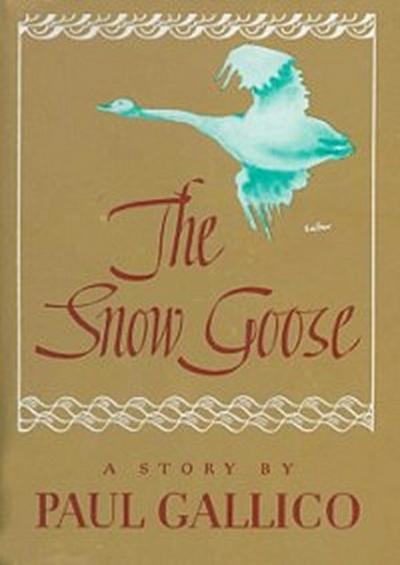 Snow Goose