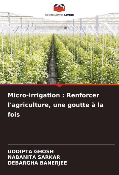 Micro-irrigation : Renforcer l’agriculture, une goutte à la fois