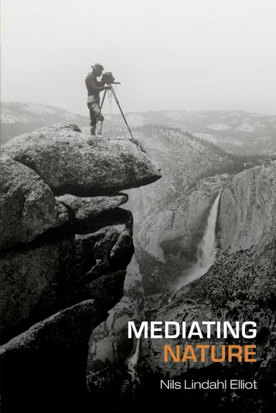 Mediating Nature