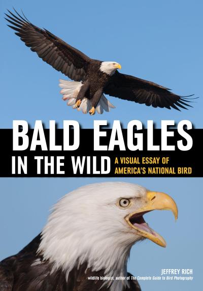 Bald Eagles in the Wild