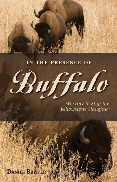 In the Presence of Buffalo