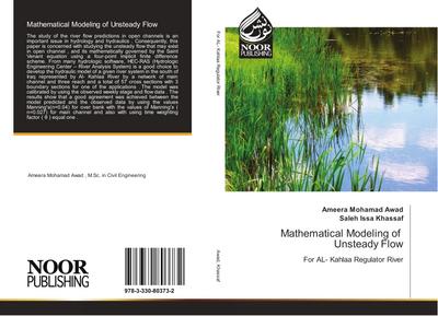 Mathematical Modeling of Unsteady Flow