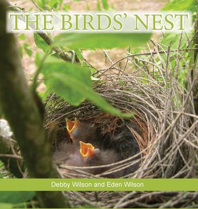 The Birds’ Nest