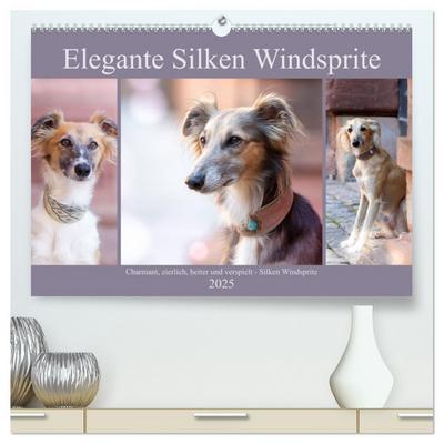 Elegante Silken Windsprite (hochwertiger Premium Wandkalender 2025 DIN A2 quer), Kunstdruck in Hochglanz