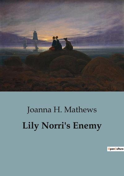 Lily Norri’s Enemy