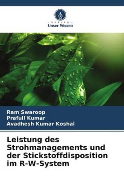 Leistung des Strohmanagements und der Stickstoffdisposition im R-W-System