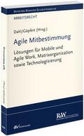 Agile Mitbestimmung