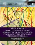 Rio-Hortega’s Third Contribution to the Morphological Knowledge and Functional Interpretation of the Oligodendroglia