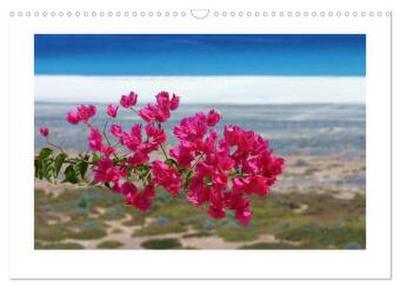 Fuerteventura (Wandkalender 2026 DIN A3 quer), CALVENDO Monatskalender