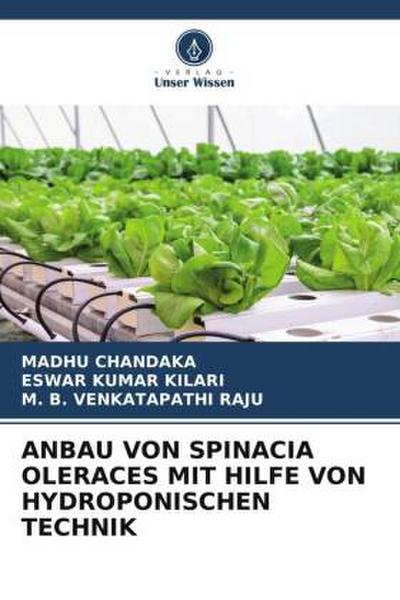 ANBAU VON SPINACIA OLERACES MIT HILFE VON HYDROPONISCHEN TECHNIK