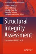 Structural Integrity Assessment