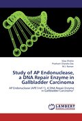Study of AP Endonuclease, a DNA Repair Enzyme in Gallbladder Carcinoma