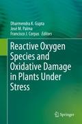 Reactive Oxygen Species and Oxidative Damage in Pl