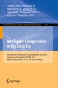 Intelligent Computation in Big Data Era