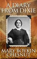 A Diary from Dixie