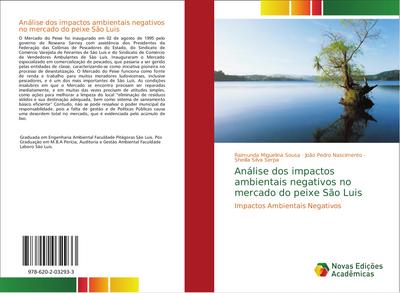 Análise dos impactos ambientais negativos no mercado do peixe São Luis