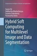 Hybrid Soft Computing for Multilevel Image and Data Segmentation