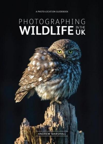 Marshall, A: Photographing Wildlife in the UK