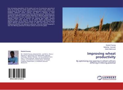Improving wheat productivity