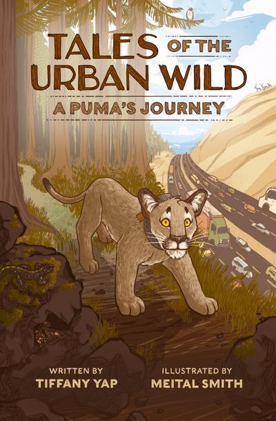 Tales of the Urban Wild: A Puma’s Journey