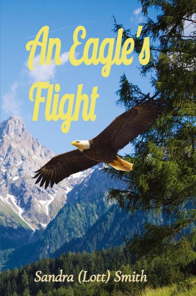 An Eagle’s      Flight