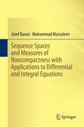 Sequence Spaces and Measures of Noncompactness with Applications to Differential and Integral Equations