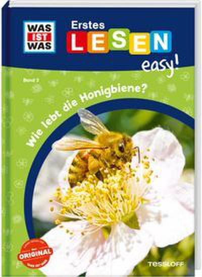 Wie lebt die Honigbiene?