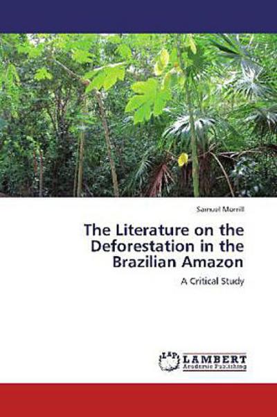 The Literature on the Deforestation in the Brazilian Amazon