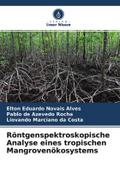 Röntgenspektroskopische Analyse eines tropischen Mangrovenökosystems
